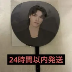 SEVENTEEN NEW_ JAPAN うちわ ディノ