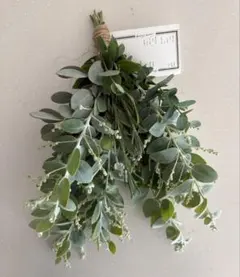 シルバーリーフ　スワッグ　ユーカリ　ラベンダー　パールアカシア ドライフラワー