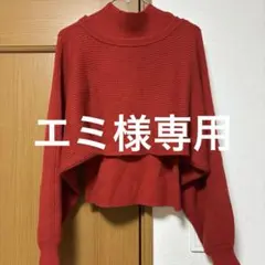 アプワイザーリッシェ　レイヤードニット　2点セット