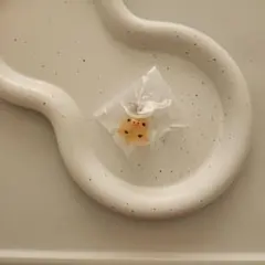 とももも様専用