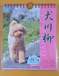 Item thumbnail for item 752afca9-6189-4a0e-95ec-f835f665cd78