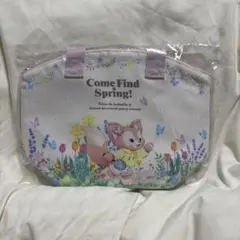 リーナベル　ランチケース ディズニー　ダフフレCome Find Springのサムネイル
