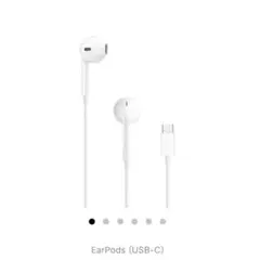 【純正・新品】Ear Pods USB-C