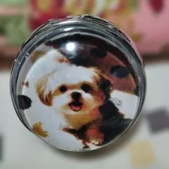 Item thumbnail for item 3078161f-4189-4d1e-acd5-95c9ac89d6c5