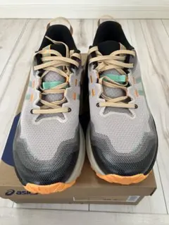 Item thumbnail for item 1983f132-aa79-4140-9482-a7262532ffc0