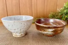 Item thumbnail for item 1b952d16-9d6a-4440-9ac3-63753c42bf75