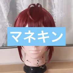 2026年最新】リドル ウィッグの人気アイテム - メルカリ