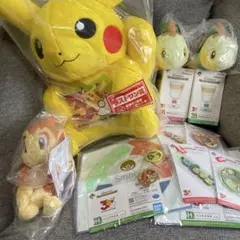 ポケモン30周年1番くじ！アチャモ・ひとかげ・チコリータ・フシギダネ