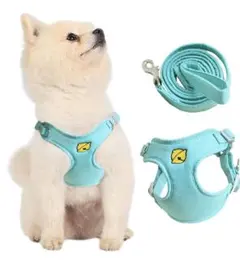 Item thumbnail for item 948db98d-f174-4d05-80ce-1e17c43767bd