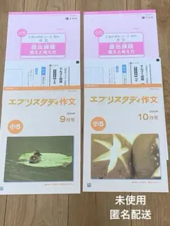 エブリスタディ 2022年版 1年分 Z会 小5 理科 中学受験コース エブリスタディ アドバンスト 2022年6月