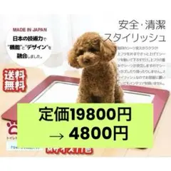 Item thumbnail for item 9642a017-d4e0-4086-9366-4ff31d5bda51