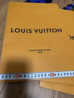 LOUIS VUITTON オレンジ布製紙袋 まとめ売り　4枚セット