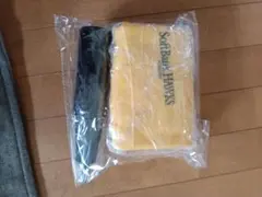 福岡ソフトバンクホークス 21CH バランスボール
