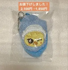 ポガリ アイドル