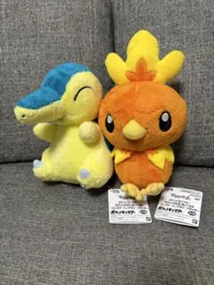 포켓몬 やさしいきもち ヒノアラシ アチャモ 봉제인형 프라이즈(게임센터 경품)