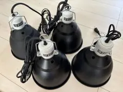 15W植物育成ライトGrowLight 6000K 2個 ライトクリップ2個 - メルカリ