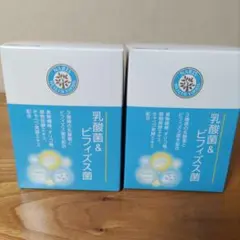 4月新入荷 ナリス乳酸菌&ビフィズス菌30袋×2箱、賞味期限2027.4月 