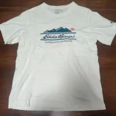 Eddie Bauer Tシャツ Lサイズ