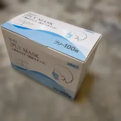 マスクMASK 100枚入り