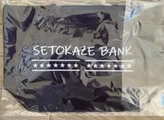 Item thumbnail for item 462230ee-ea75-427b-a19c-fa74025fbe03