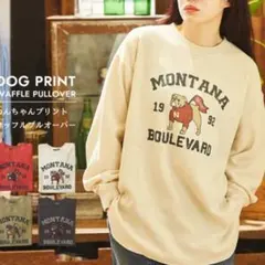 Item thumbnail for item 9a1a8cbd-b6b0-435f-881d-a234e16adaed