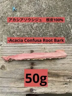 Item thumbnail for item be3f7b2f-8b96-4fac-95ea-50ba2d86b16d