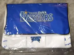 横浜DeNAベイスターズ 保温保冷BIGマルチバッグ プレイランド景品 非売品