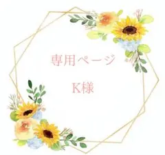 専用