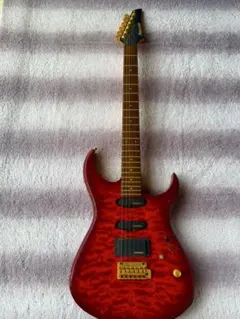 Fernandes SP-Jr. ジャンク 2025年最新】FERNANDES ギター ジャンクの人気アイテム - メルカリ