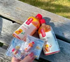 【ゴンチャ】アクリルチャーム付きミニチュアキーホルダー　2種類