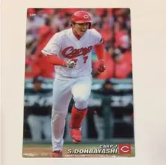 カルビー 2017 プロ野球チップス カード 広島東洋カープ 堂林翔太