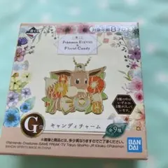 ポケモン イーブイ 一番くじ キャンディチャーム 未開封