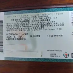 【値引き】4,000円→3,500円ファイト！九州デーソフトバンク対ロッテ戦のサムネイル