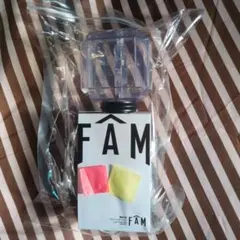 タイムレス ペンライト　FAM