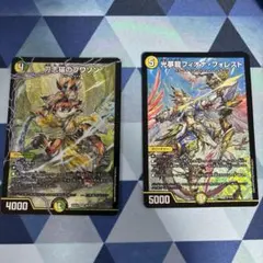 刀志猫のプワソン　光夢龍ヒィオナ・フォレスト　セット