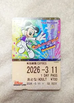 ディズニー リゾートライン フリー切符 35周年•チョップとデイル