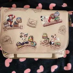 東京ディズニーリゾート 35周年記念バッグ