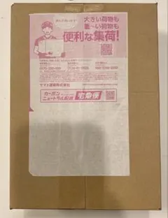 新品未開封】シュリンク付き ポケモンカード MEGAドリームex 1箱