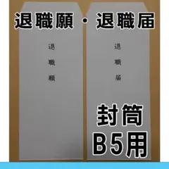g-7【B5用】 退職願・退職届用 ホワイト封筒