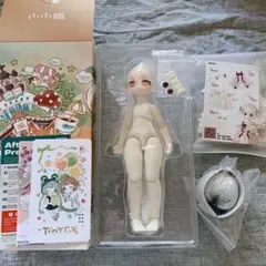 tinyfox メリアン フルセット 中古 1/6ドール - メルカリ