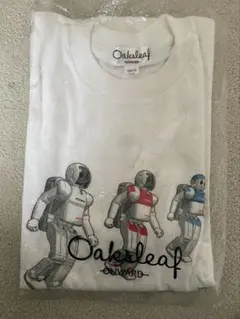 Item thumbnail for item 8515825b-2cb4-4110-87c9-a9fd7cd5e9f6