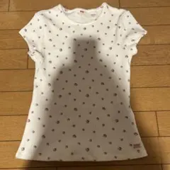 Levi's 花柄リブTシャツ XS