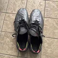 Item thumbnail for item 95373de4-3416-436a-a844-d3a55e070c29