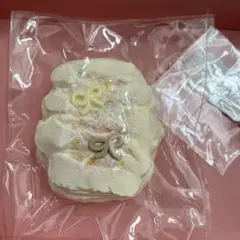 Only Eat Salted Fish スクイーズ 塩魚しか食べない
