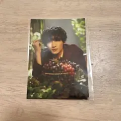 桜木雅哉　生写真　29弾