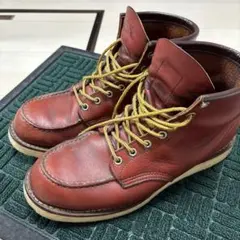 セダークレスト デッドストック アイリッシュセッタータイプ レッド