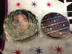 EXILE AKIRA 缶バッジ