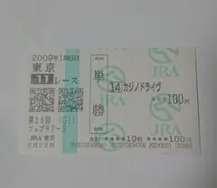 2009年 フェブラリーS カジノドライヴ 単勝馬券