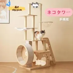 Item thumbnail for item f92164a9-8e91-4e08-a173-11181499ce23