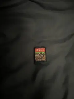 Nintendo Switch Minecraft ソフト